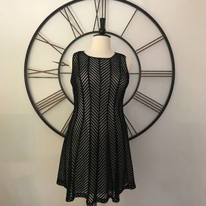 NWT Calvin Klein Dress